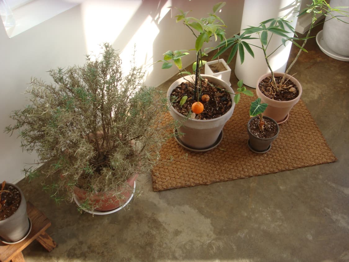 소니 사이버샷 dsc- t2 상품이미지8