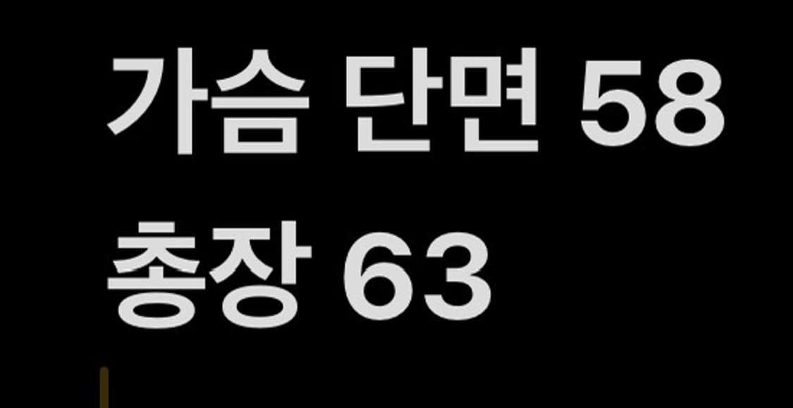 [ 정품/S ] 타미힐피거 플라워 프린트 반팔 셔츠 b16 상품이미지6