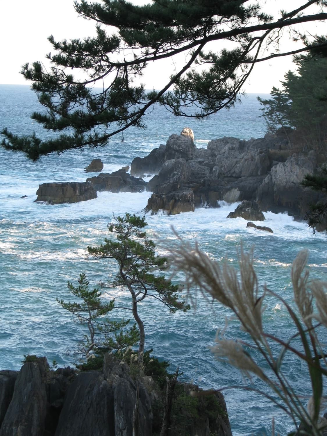 (토마토레드!🫧) 카시오 엑슬림 Z250 | Casio Exilim 상품이미지4