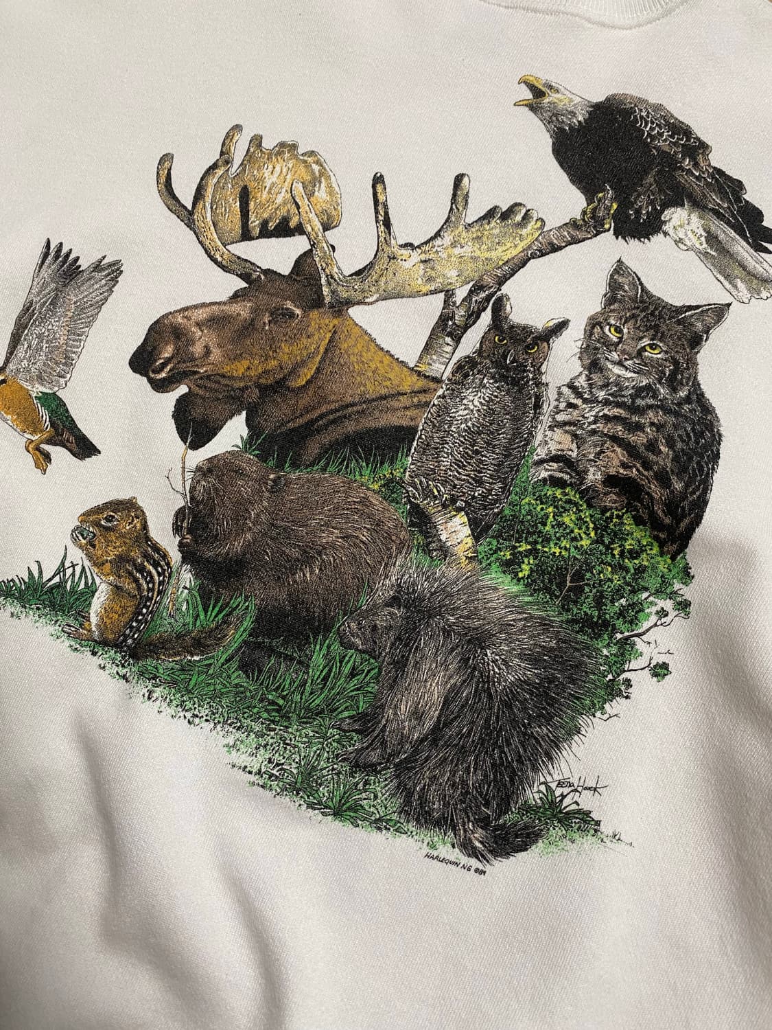 🌊Hanes 50/50 animal sweatshirts 상품이미지5