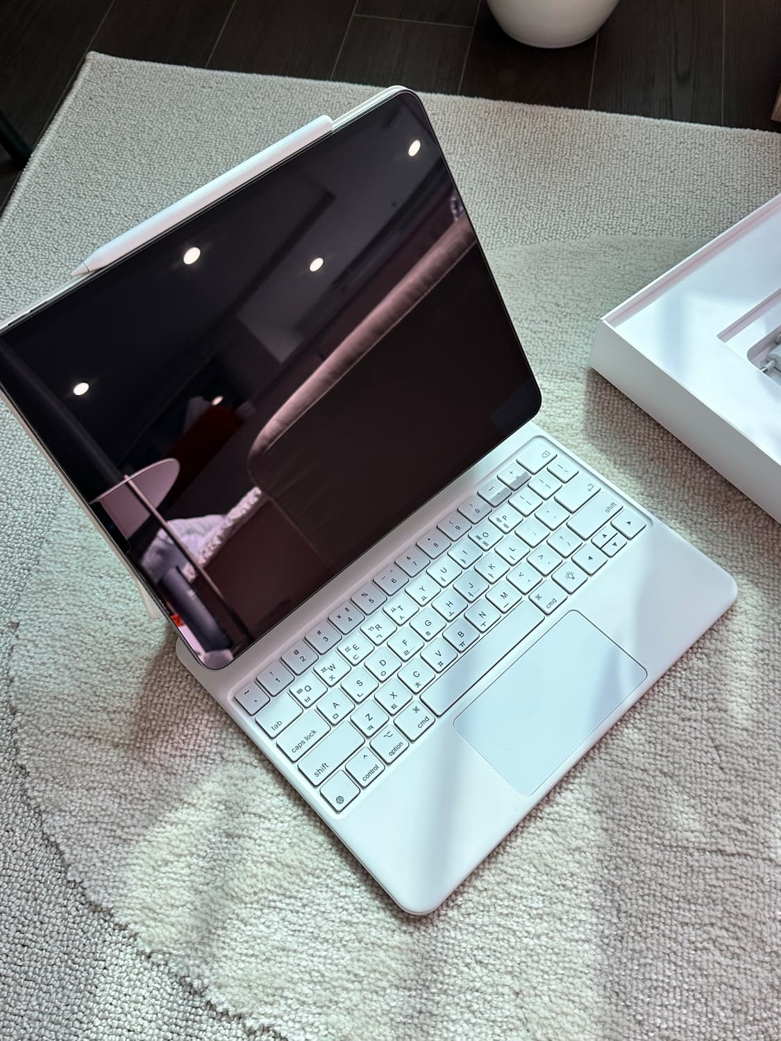 아이패드 프로 5세대 12.9 256기가 풀박 + 아이펜슬 상품이미지4