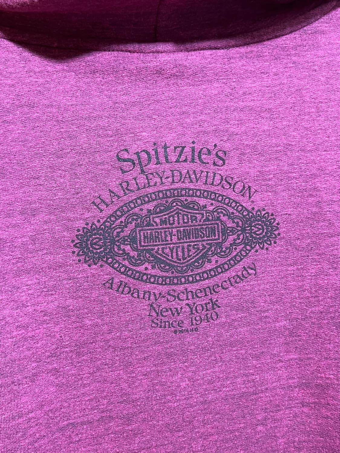 00s [여성3XL] 할리데이비슨 윙 그래픽 Y2K 집업 후드티 상품이미지8