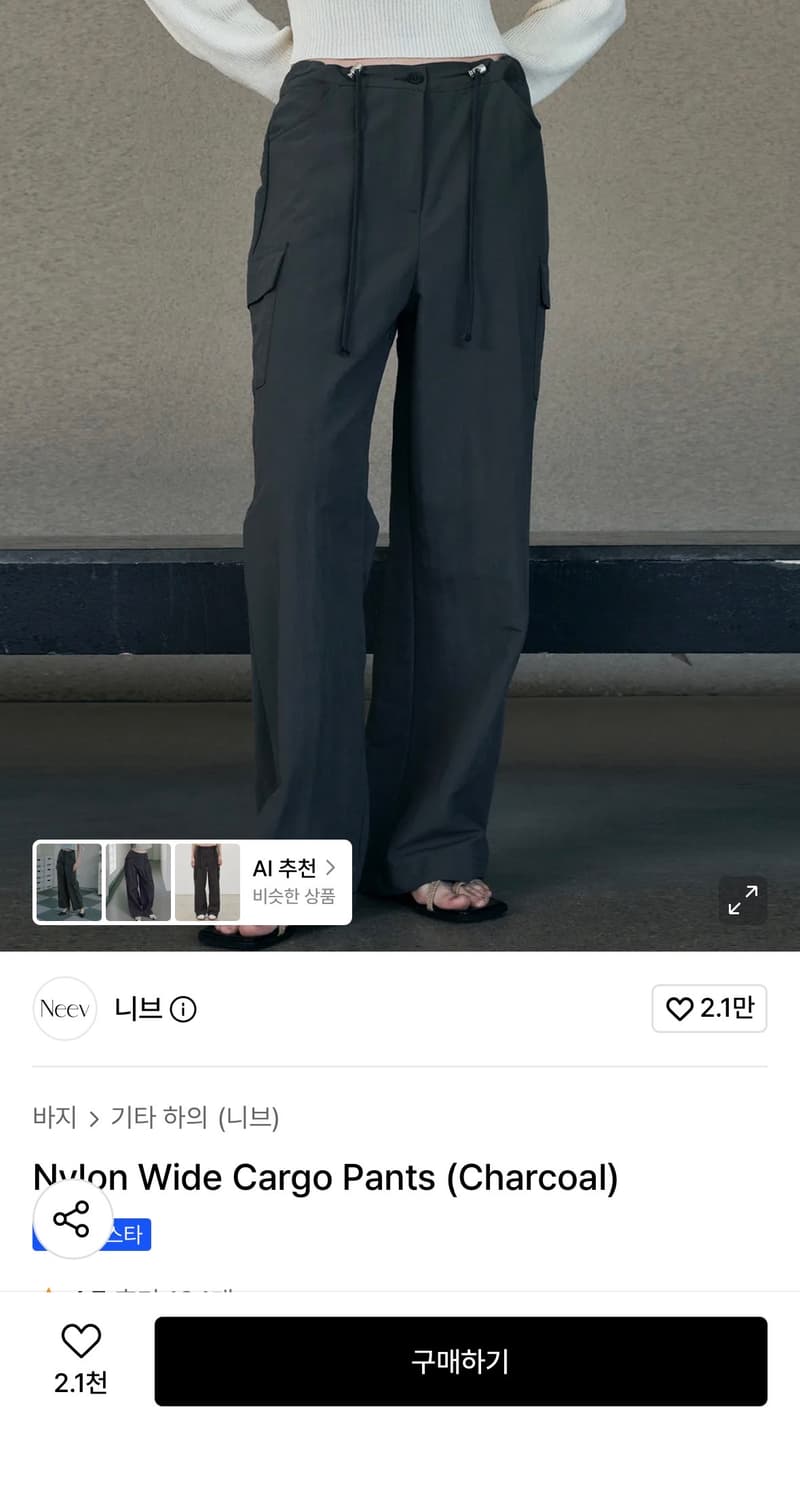 Neev Nylon Wide Cargo Pants (Charcoal)  상품이미지2