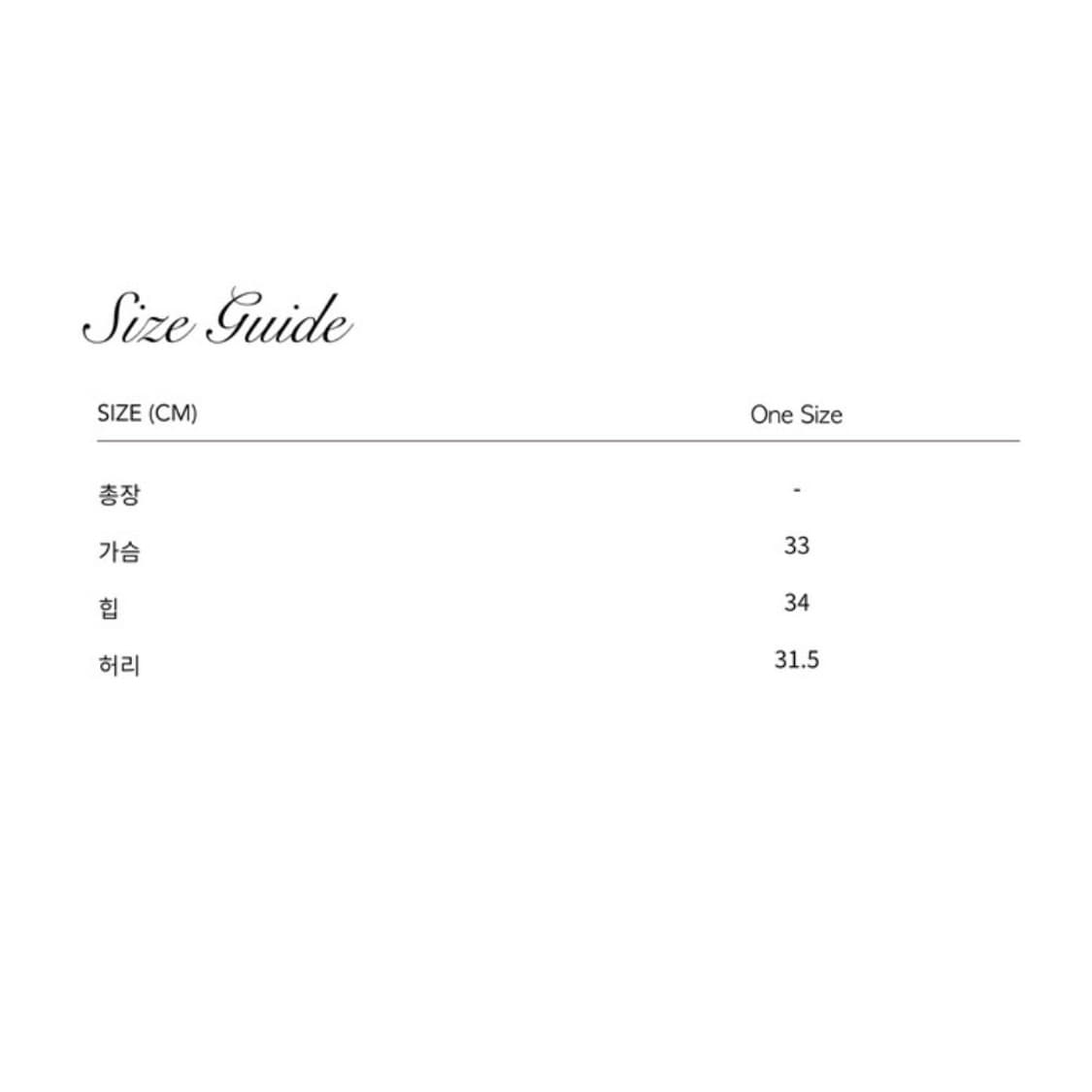 [새상품]엘프엘프엘프 아카이브스 머메이드 비키니 빈티지 그레이 상품이미지4