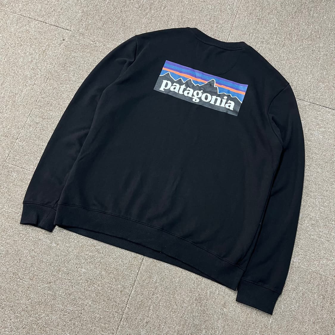  파타고니아 맨투맨 상품이미지1