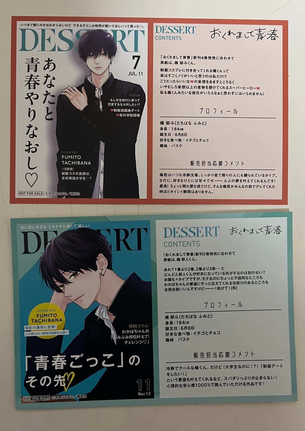 급처(일본어판)뒤늦게 청춘 엽서 세트 (2장) 상품이미지2