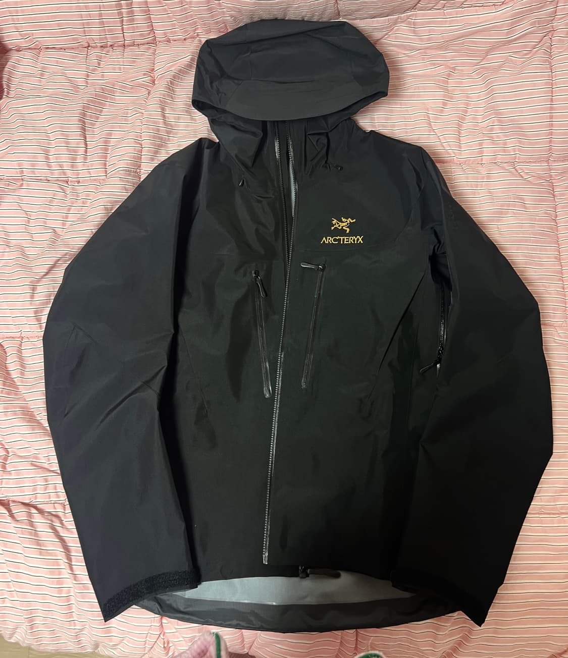 아크테릭스 알파 SV 자켓 블랙 M 상품이미지1