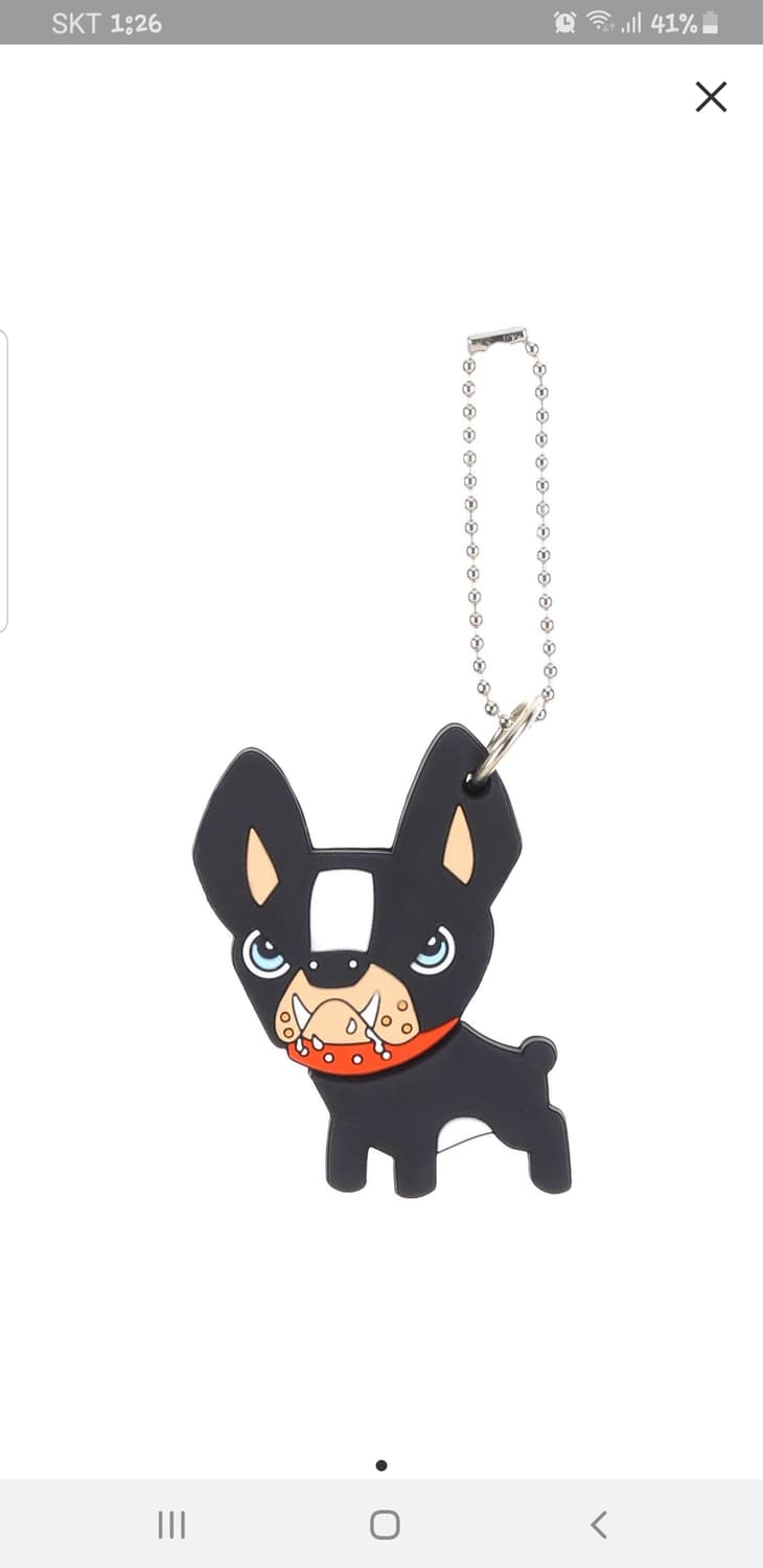 디스퀘어드)백참(USB 2G기능) 상품이미지2