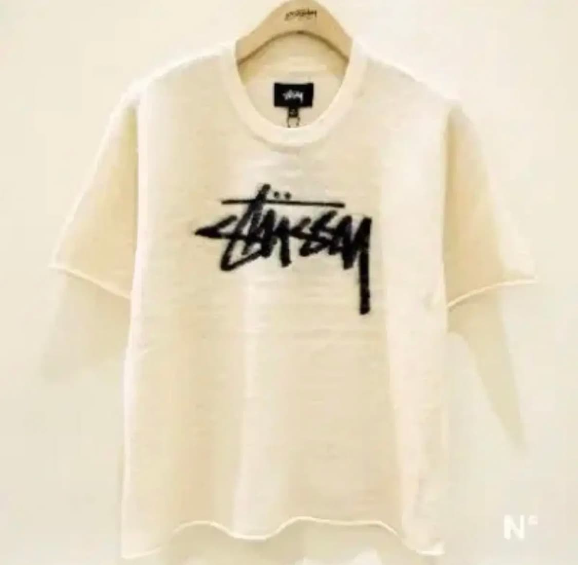 스투시 브러쉬드 반팔 티셔츠 베이지 M 상품이미지3