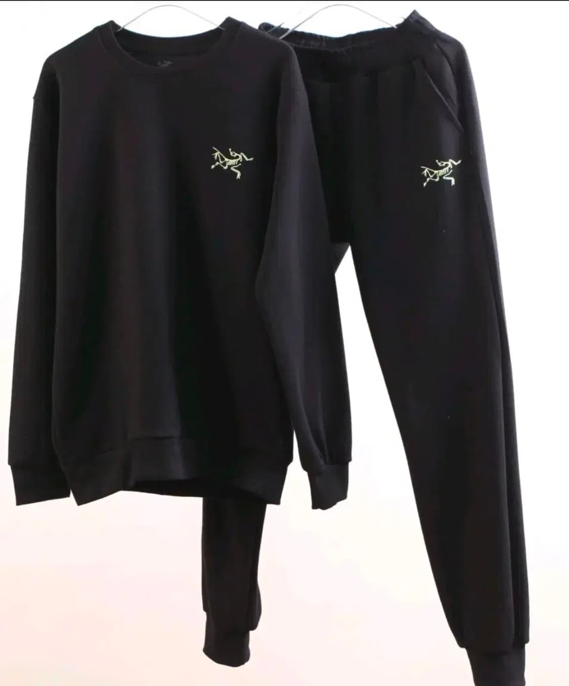 아크테릭스 질샌더  트레이닝 세트입 상품이미지5