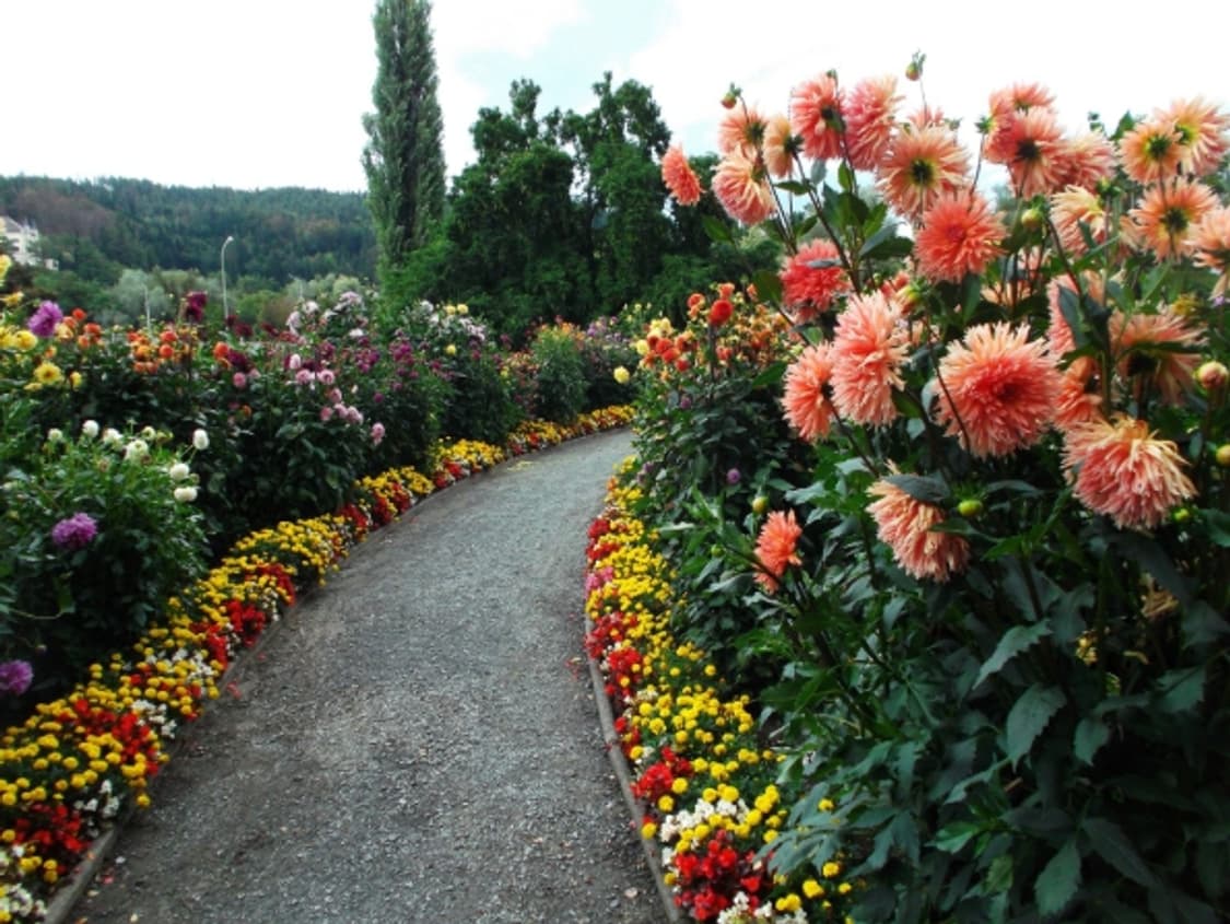 후지필름 파인픽스 JX500 실버 상품이미지10