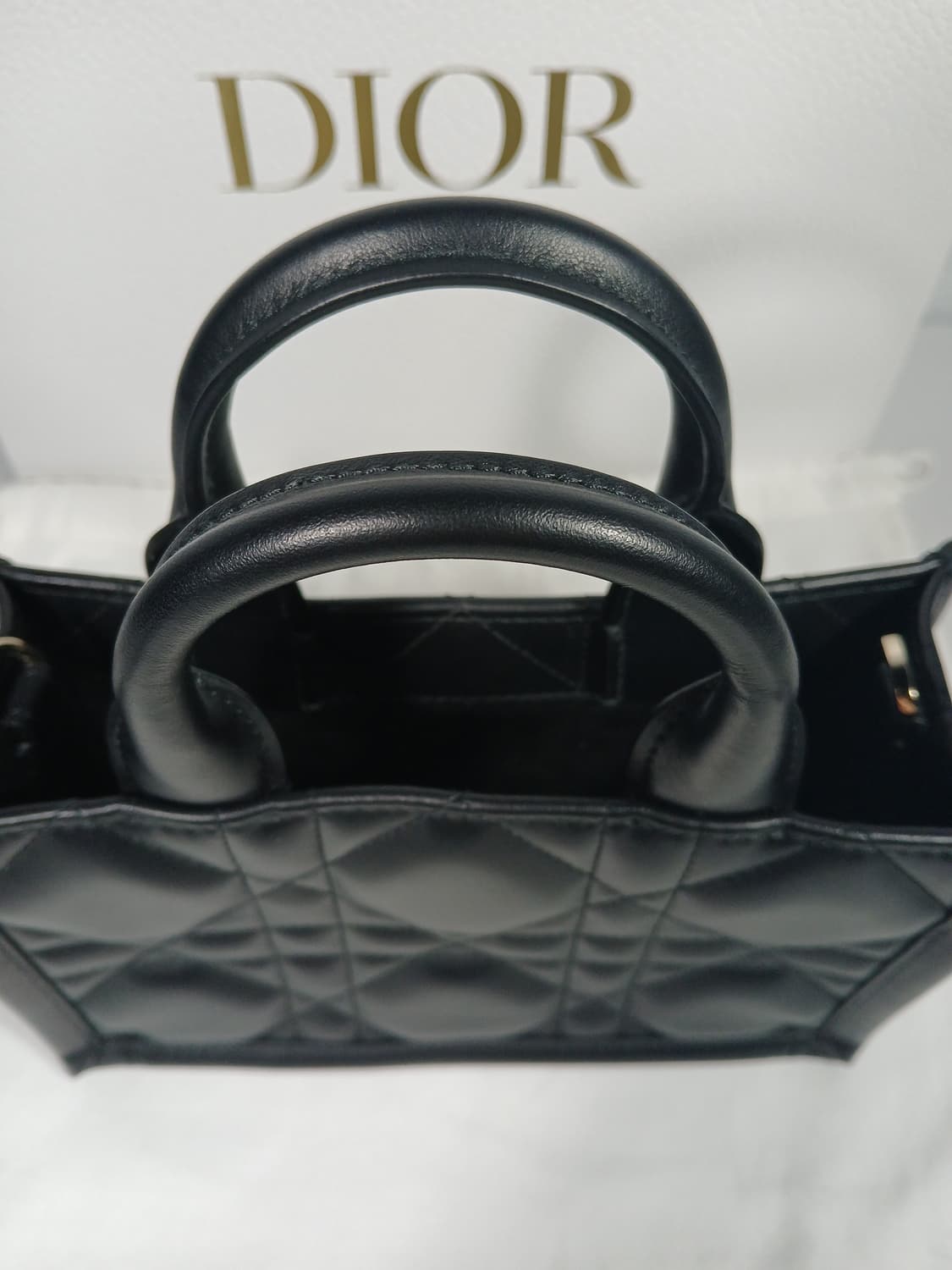 디올 매크로 까나쥬 북토트백 미니 S5573OWHP 상품이미지10