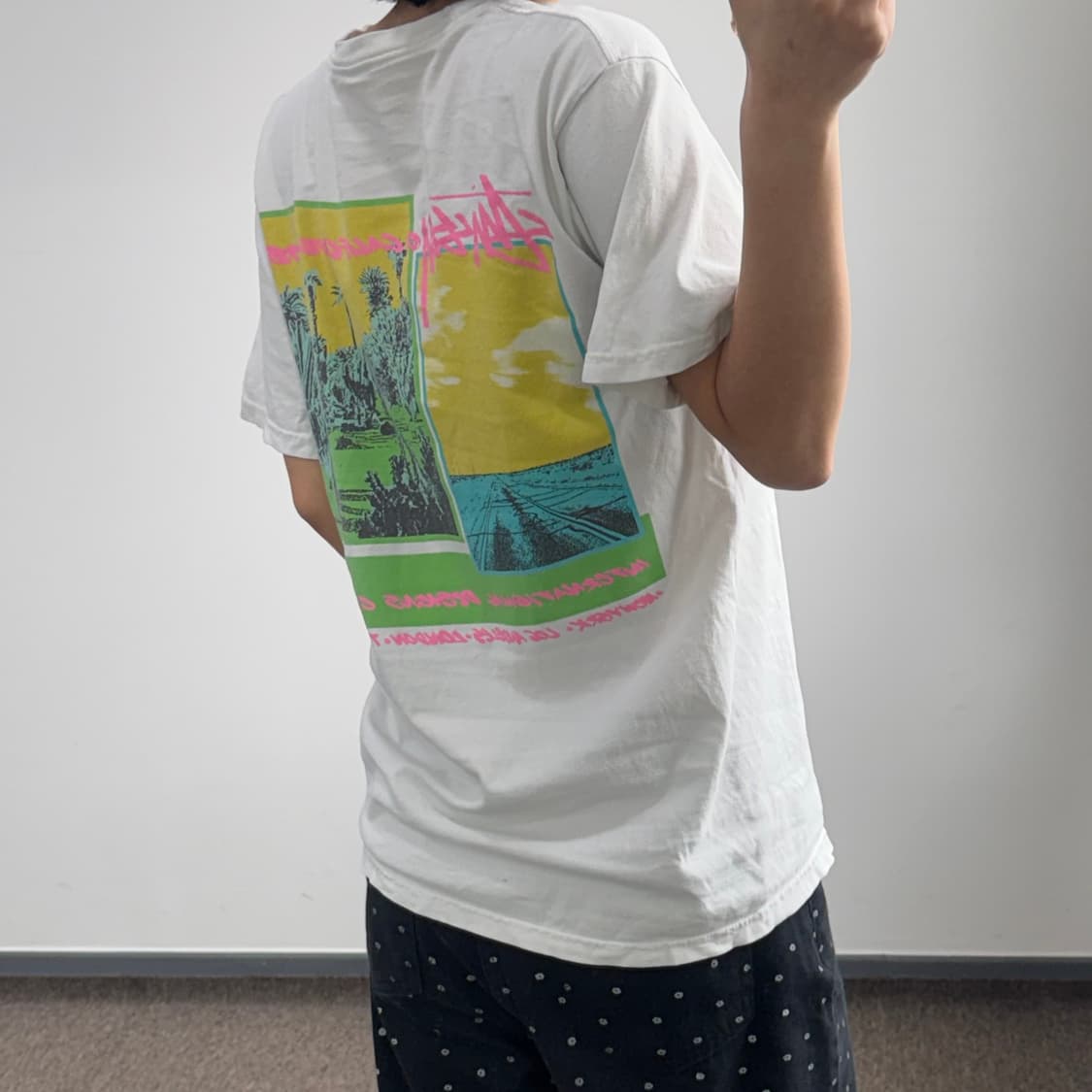 Stussy 스투시 팜 데저트 화이트 반팔 상품이미지2