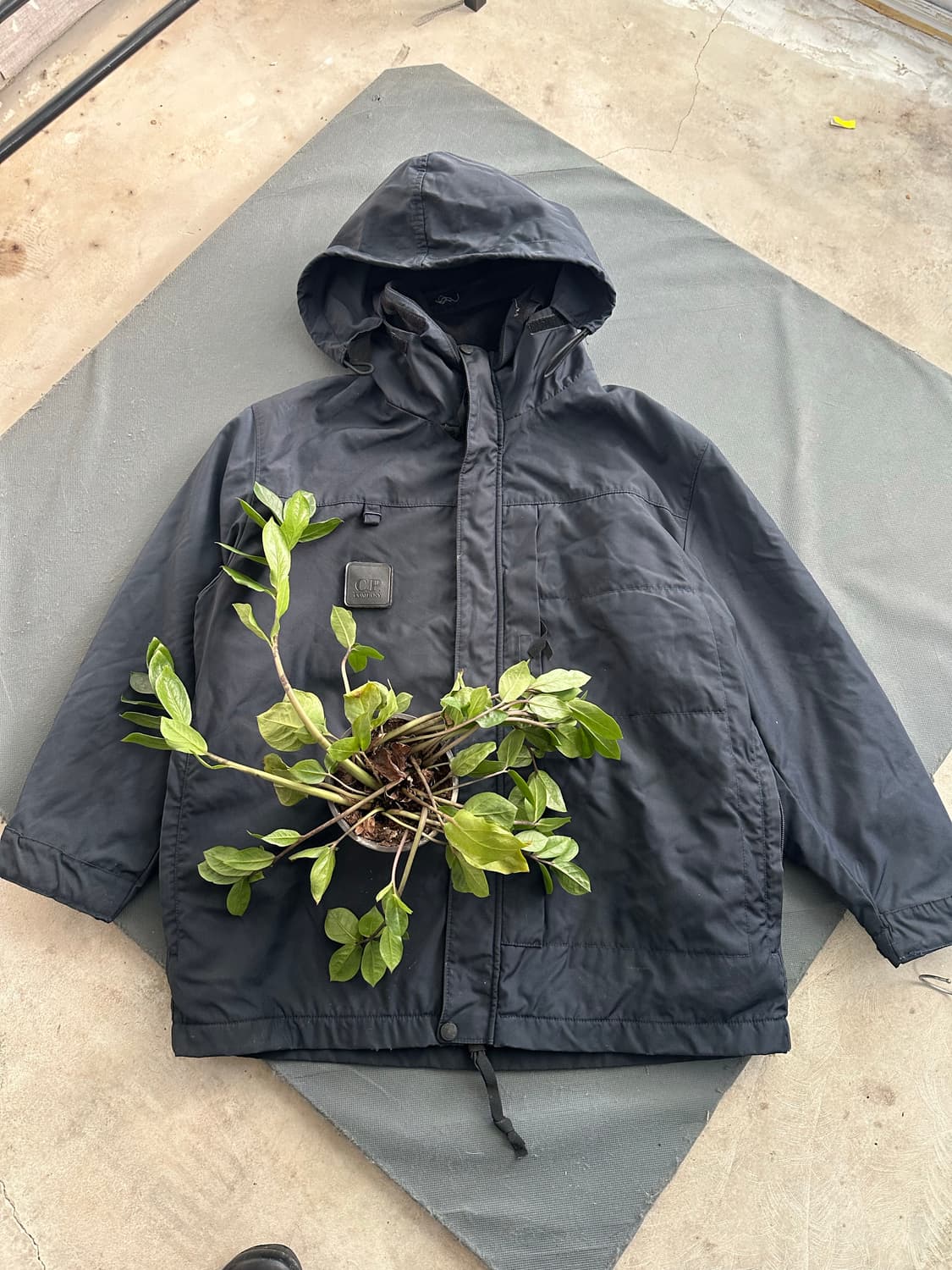 씨피컴퍼니 자켓 M(95-100) 정품 상품이미지1