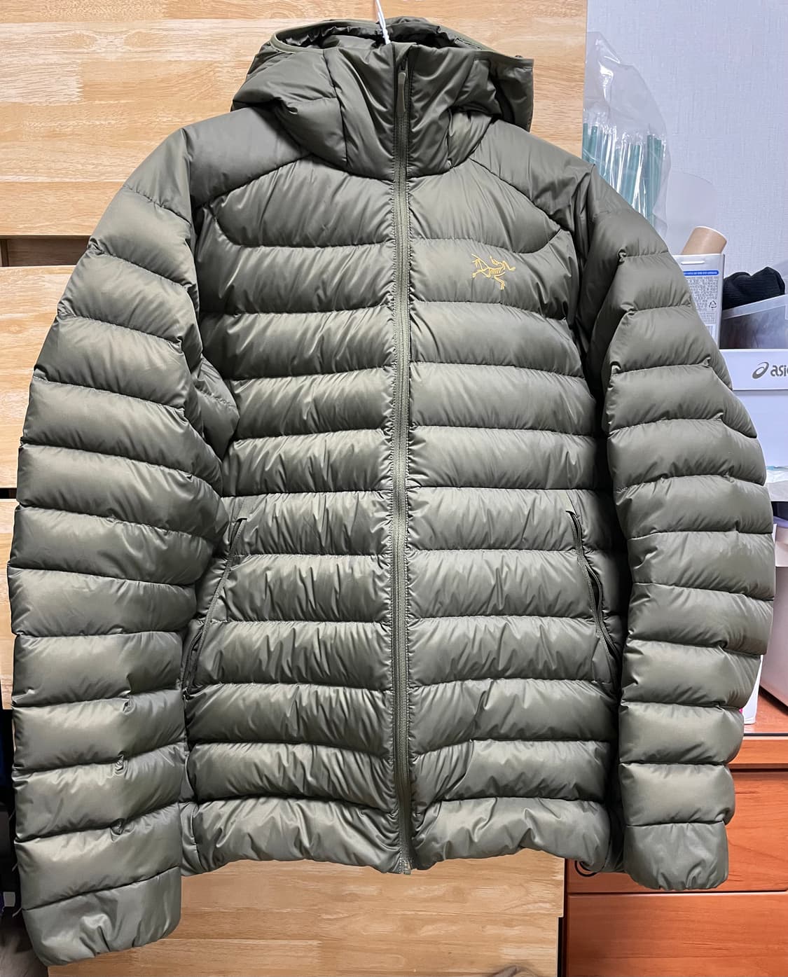 아크테릭스 세륨 후디 타츠 상품이미지2