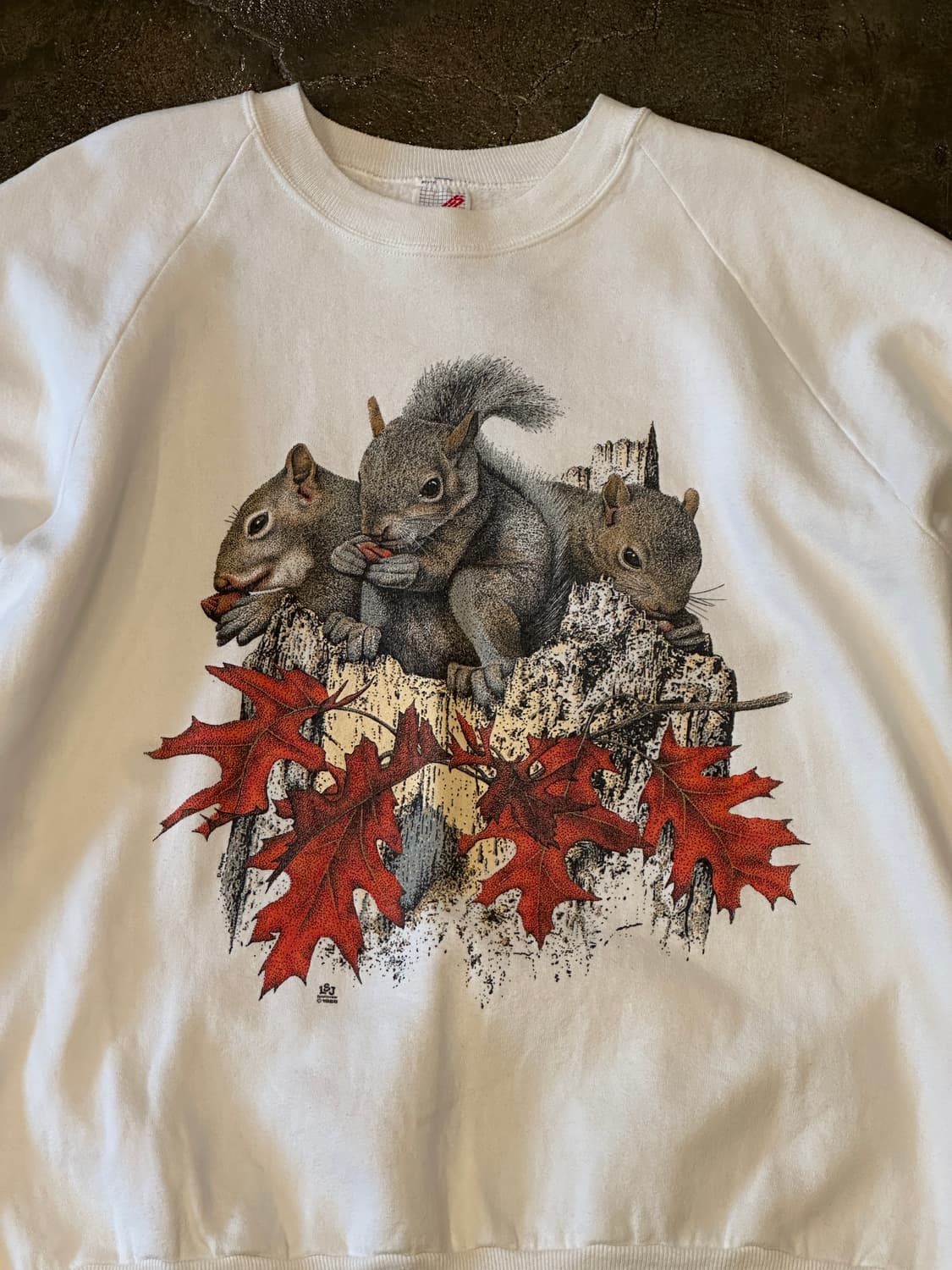 90s Jerzees USA 프린팅 맨투맨 스웻셔츠 XL 상품이미지3