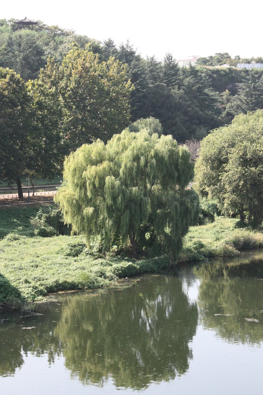 (작례0) Canon EOS 450d (DSLR) 상품이미지4