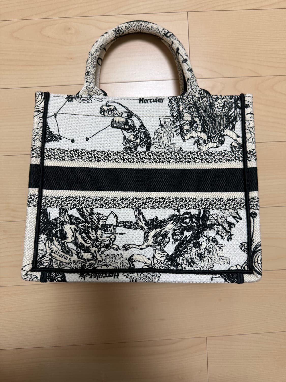 디올 북토트 조디악 스몰 상품이미지3