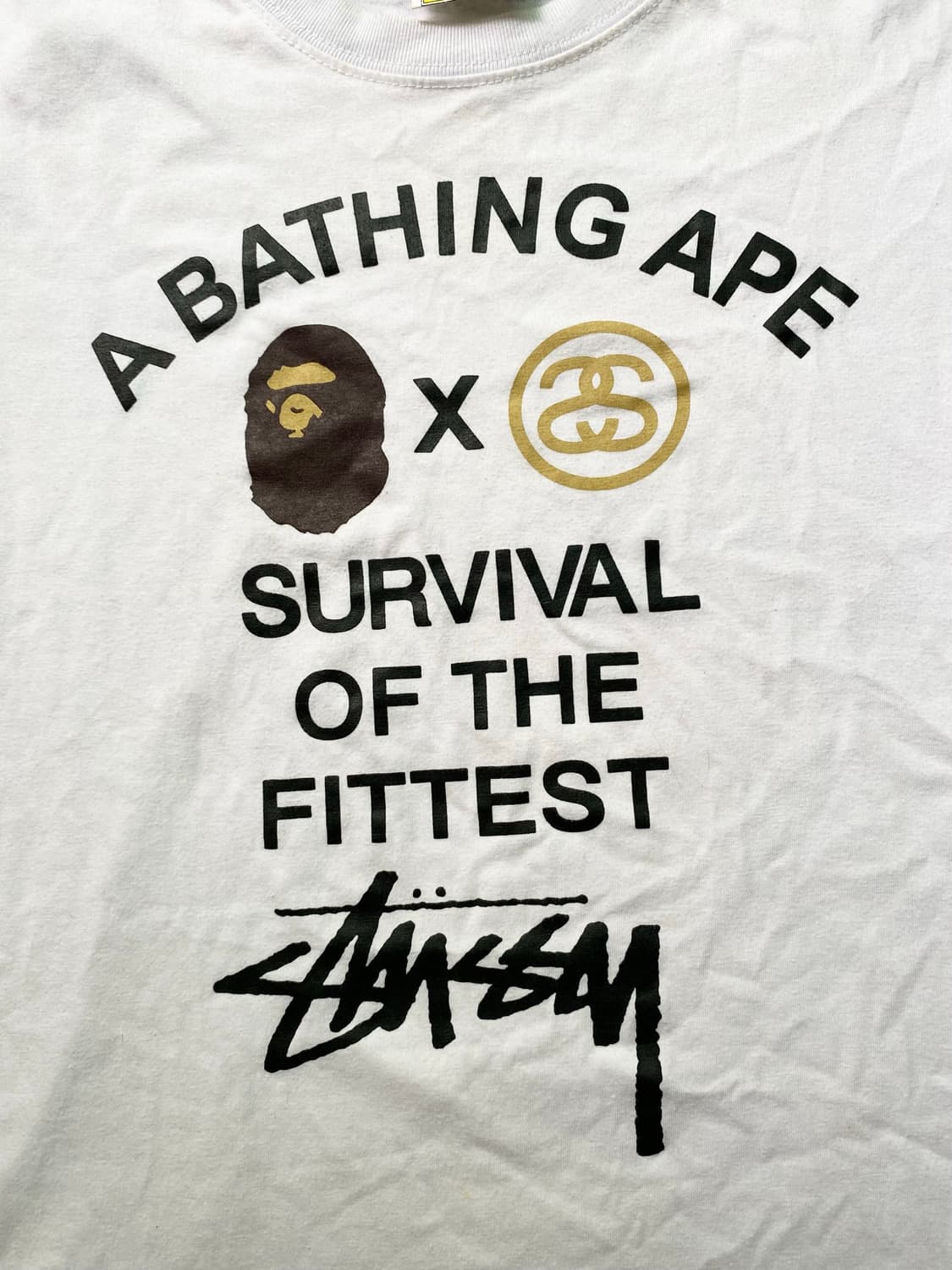 Bape&Stussy Logo Print Tee 상품이미지4