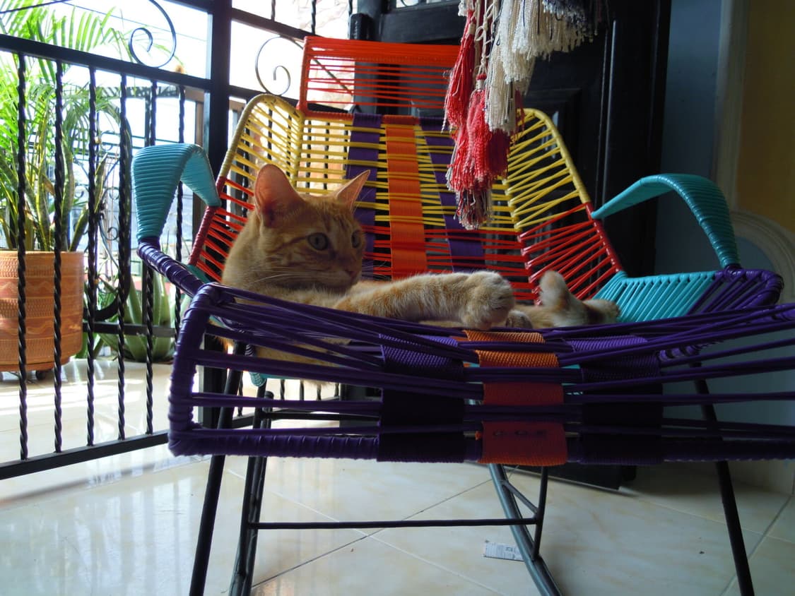 니콘 쿨픽스 S5100 빈티지디카 디지털카메라 상품이미지7