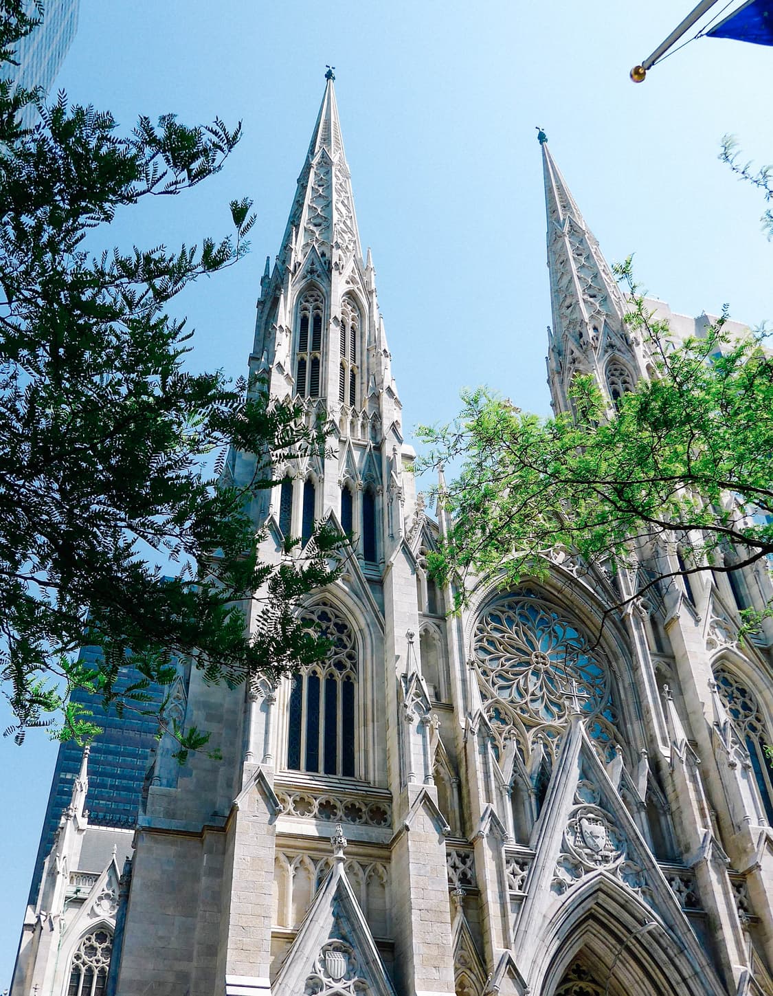 Fujifilm Finepix A201 (후지필름 파인픽스 A201) 상품이미지10