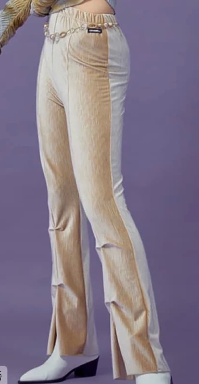 크랭크 핀턱 벨벳 팬츠 상품이미지2