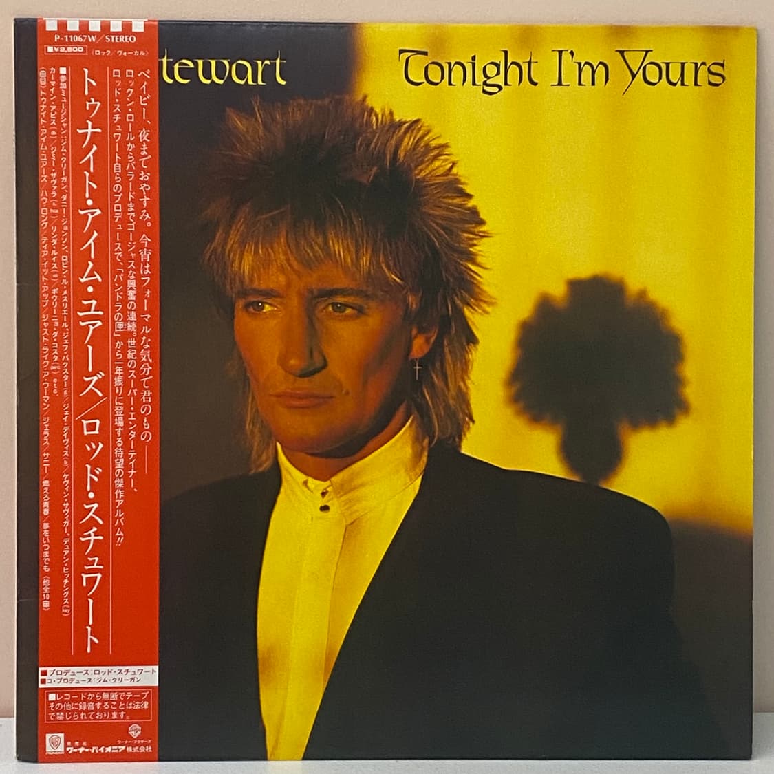 (LP-초민트시리즈) Rod Stewart - Tonight I'm Yo 상품이미지1