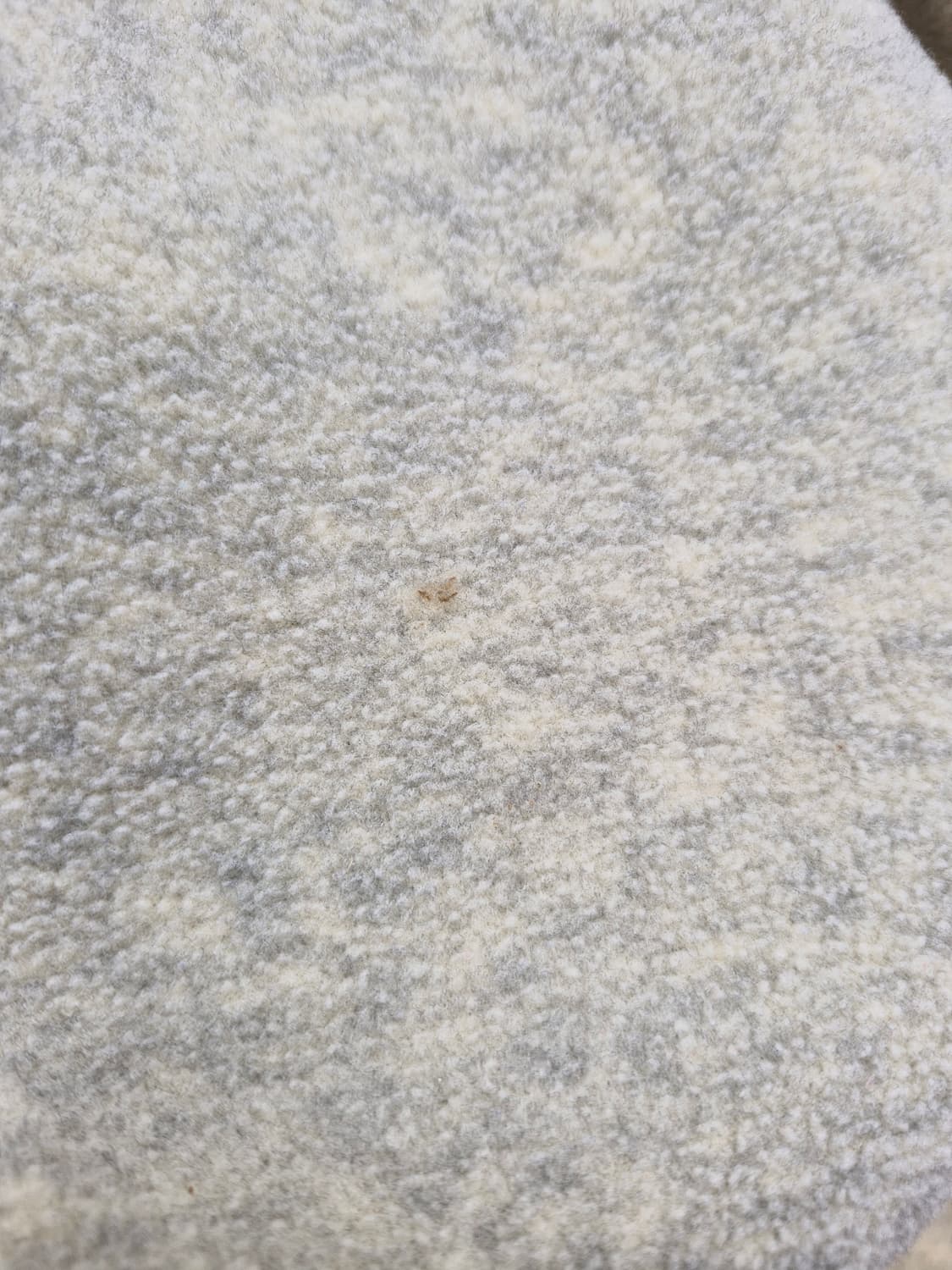 Z-29 파타고니아 신칠라  상품이미지4