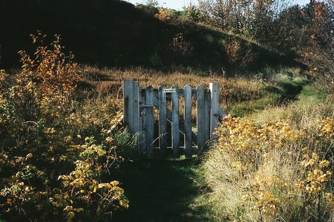 작례O 하이엔드 삼성 케녹스 엘리트 400 필름카메라 빈티지 필카 상품이미지2