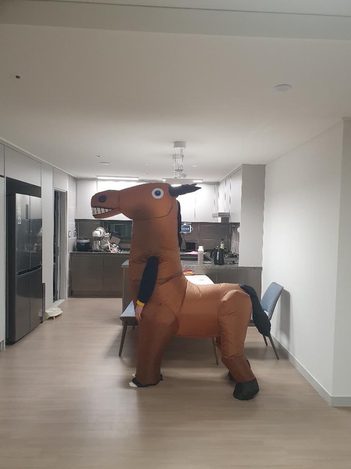 에어슈트 말 코스튬 상품이미지6