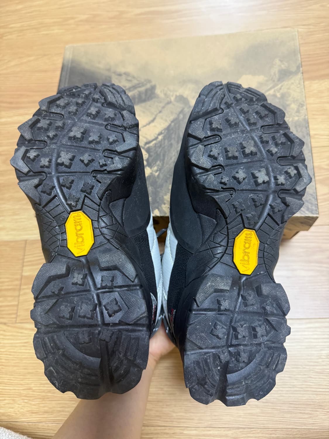 로아 안드레아스 Roa Andereas 상품이미지5