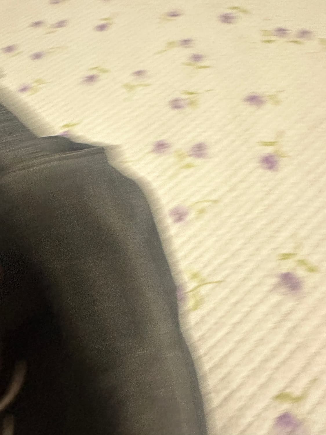 Yeezy GAP 이지 갭 발렌시아가 프레임 볼캡 모자 상품이미지6