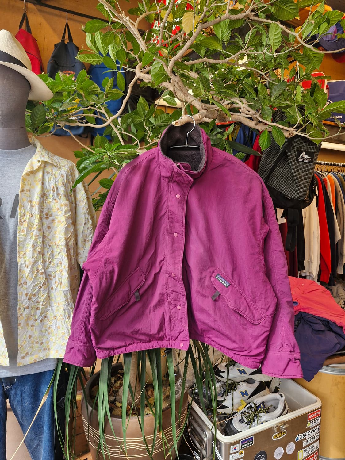 Z-490 파타고니아 캐플린 쉘드 신칠라 봄버 웜업  상품이미지1