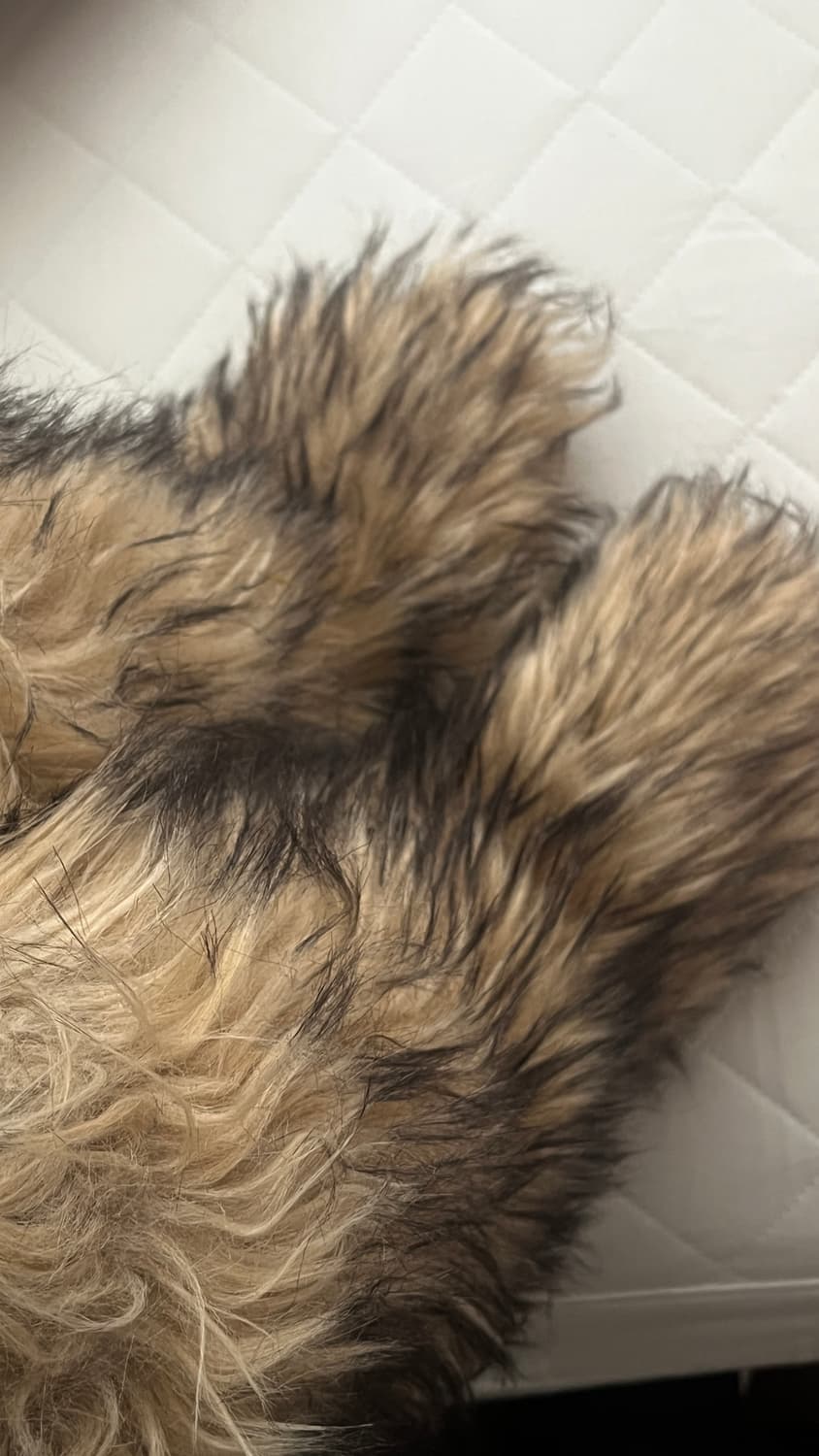 ZARA 퍼 부츠 상품이미지4