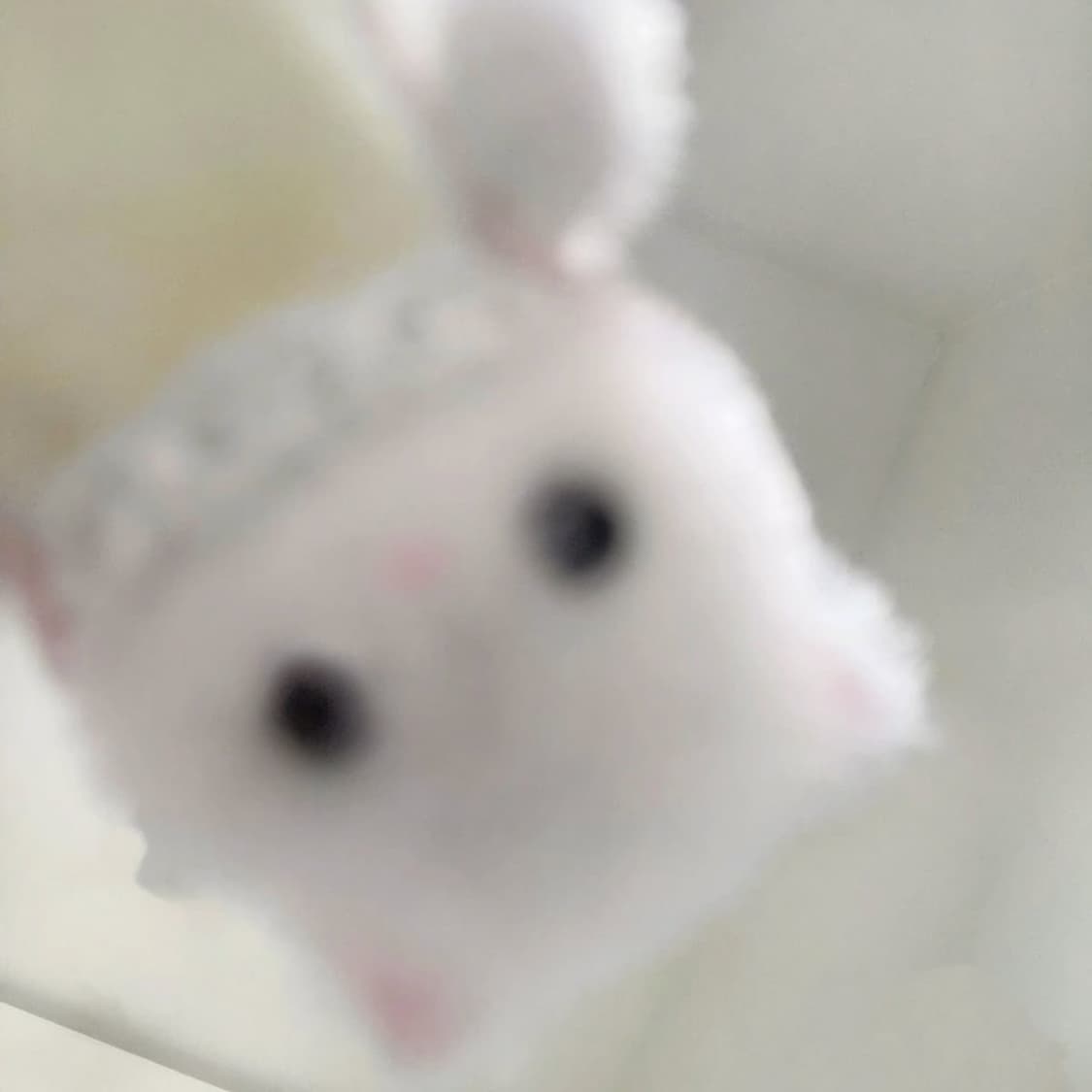 올림푸스 뮤 7040 구매원해요! 상품이미지1