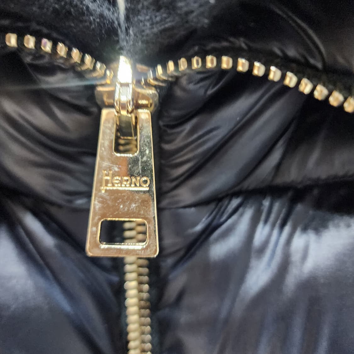 에르노 엘리사 롱패딩 42 상품이미지3