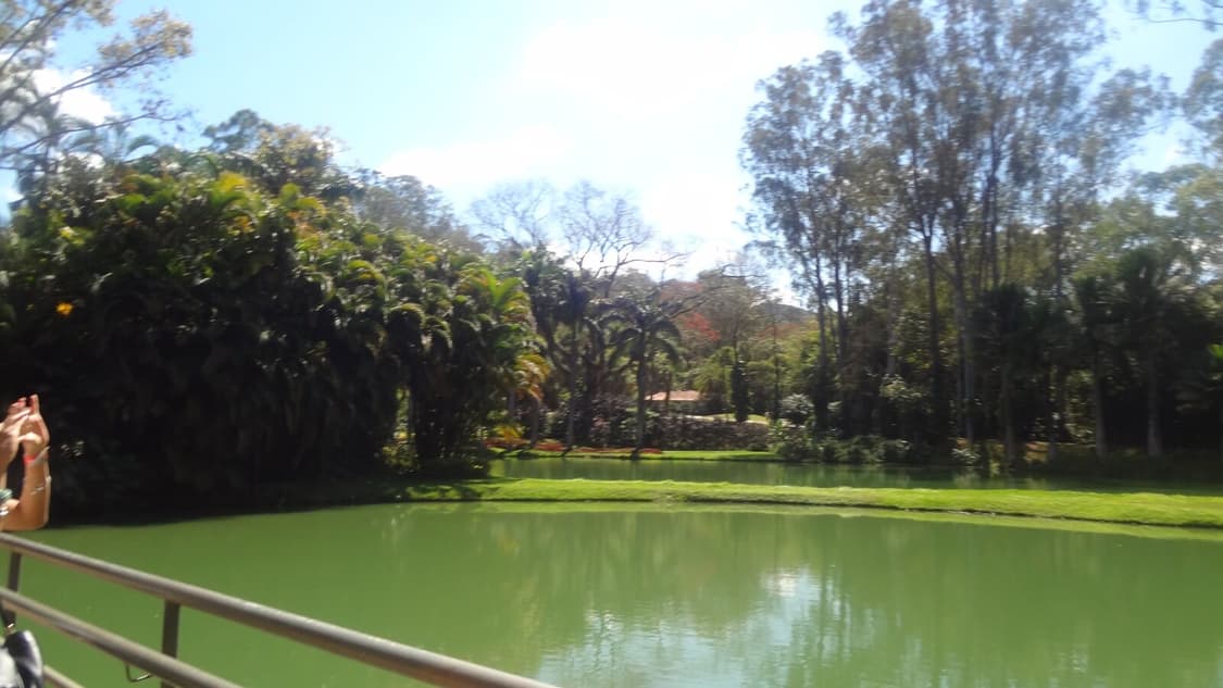 (사쿠라pick) 니콘 쿨픽스 2100 Nikon 빈티지디카 상품이미지10