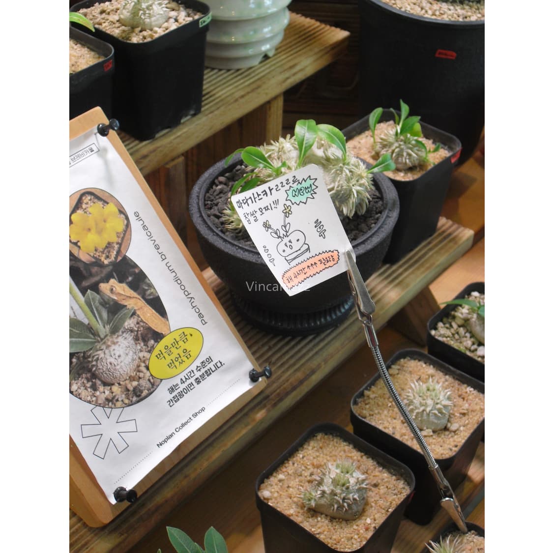 Casio 카시오 엑슬림 exilim EX-S5 디지털 카메라 상품이미지2