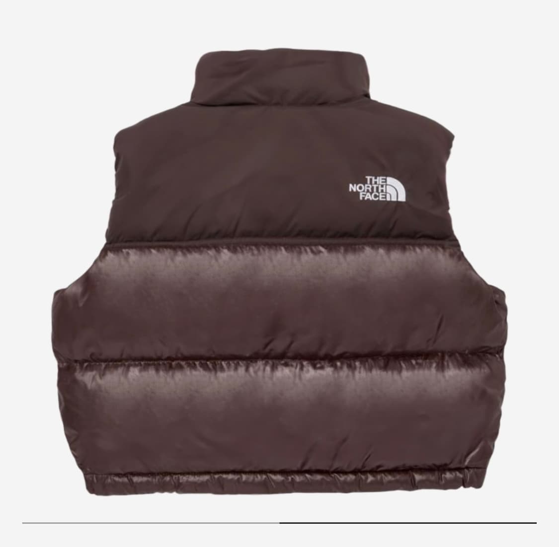 더 노스페이스 화이트 라벨 노벨티 눕시 다운 베스트 브라운 (W) XL 상품이미지2