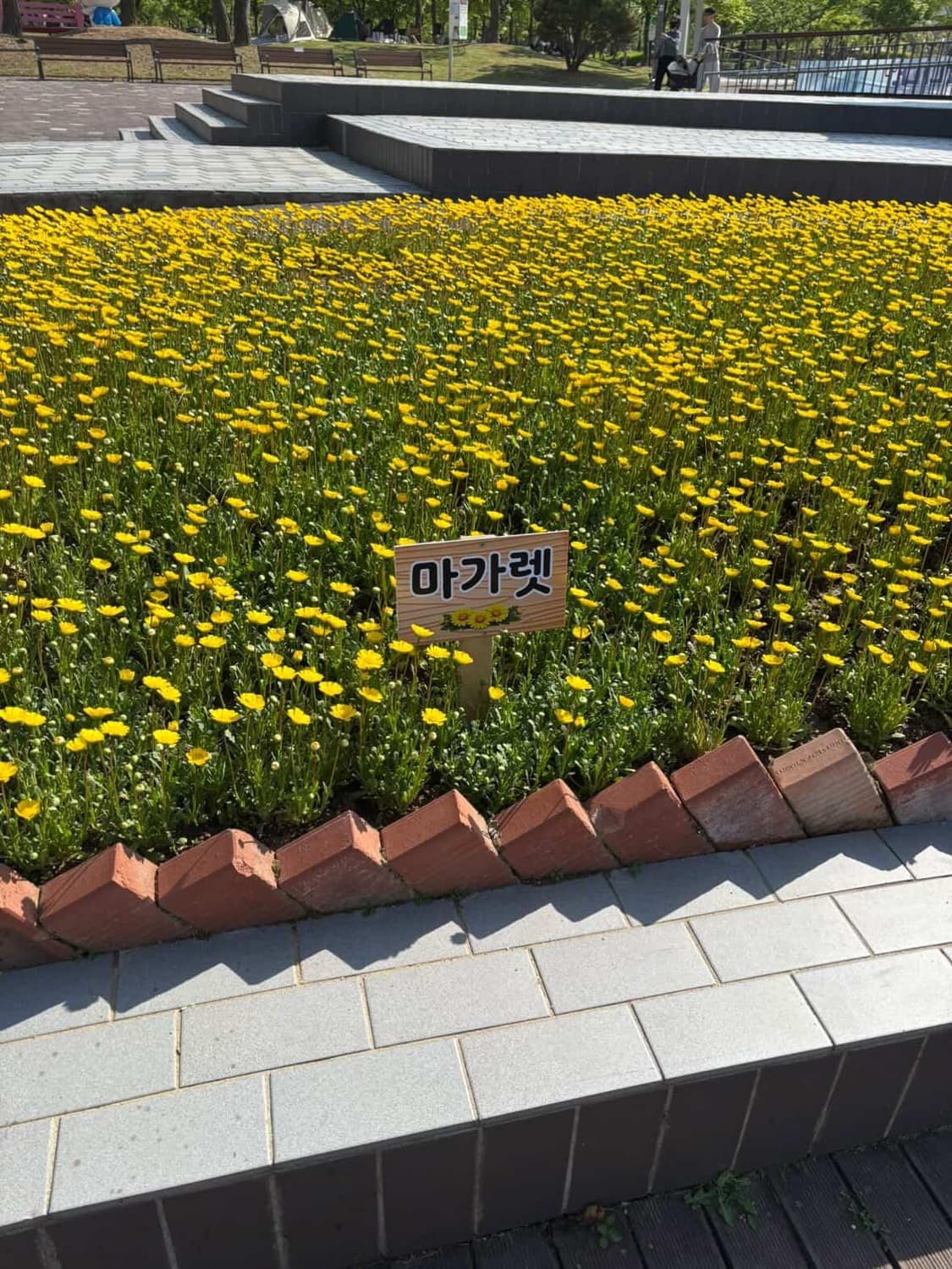ㅅㄴ님 결제창 상품이미지1