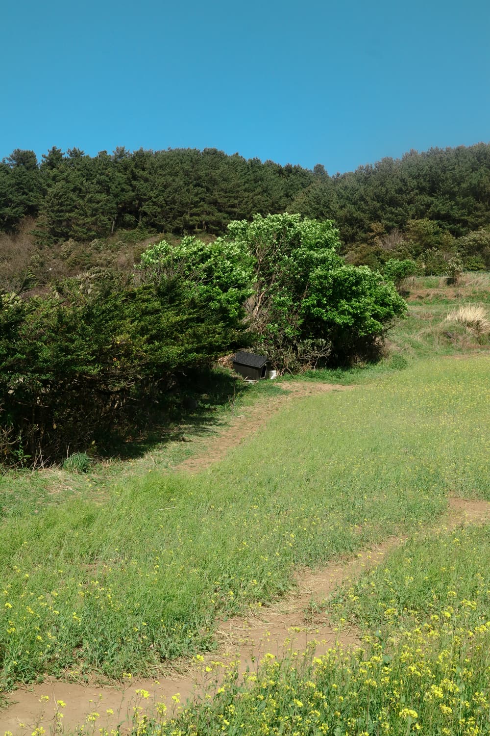 Canon M50 15-45mm렌즈 포함 패키지 (작례O, 배송비포함) 상품이미지6