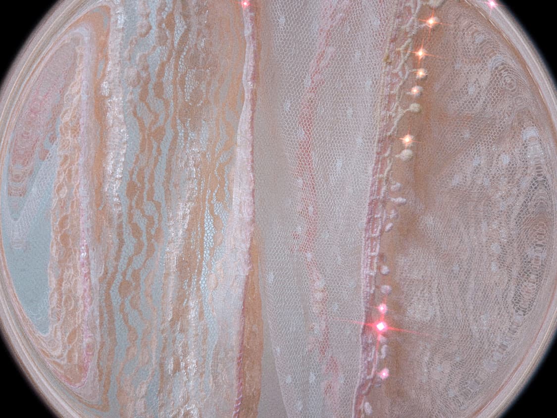 Vintage Peach Fairy lace fringe Scarf 상품이미지2