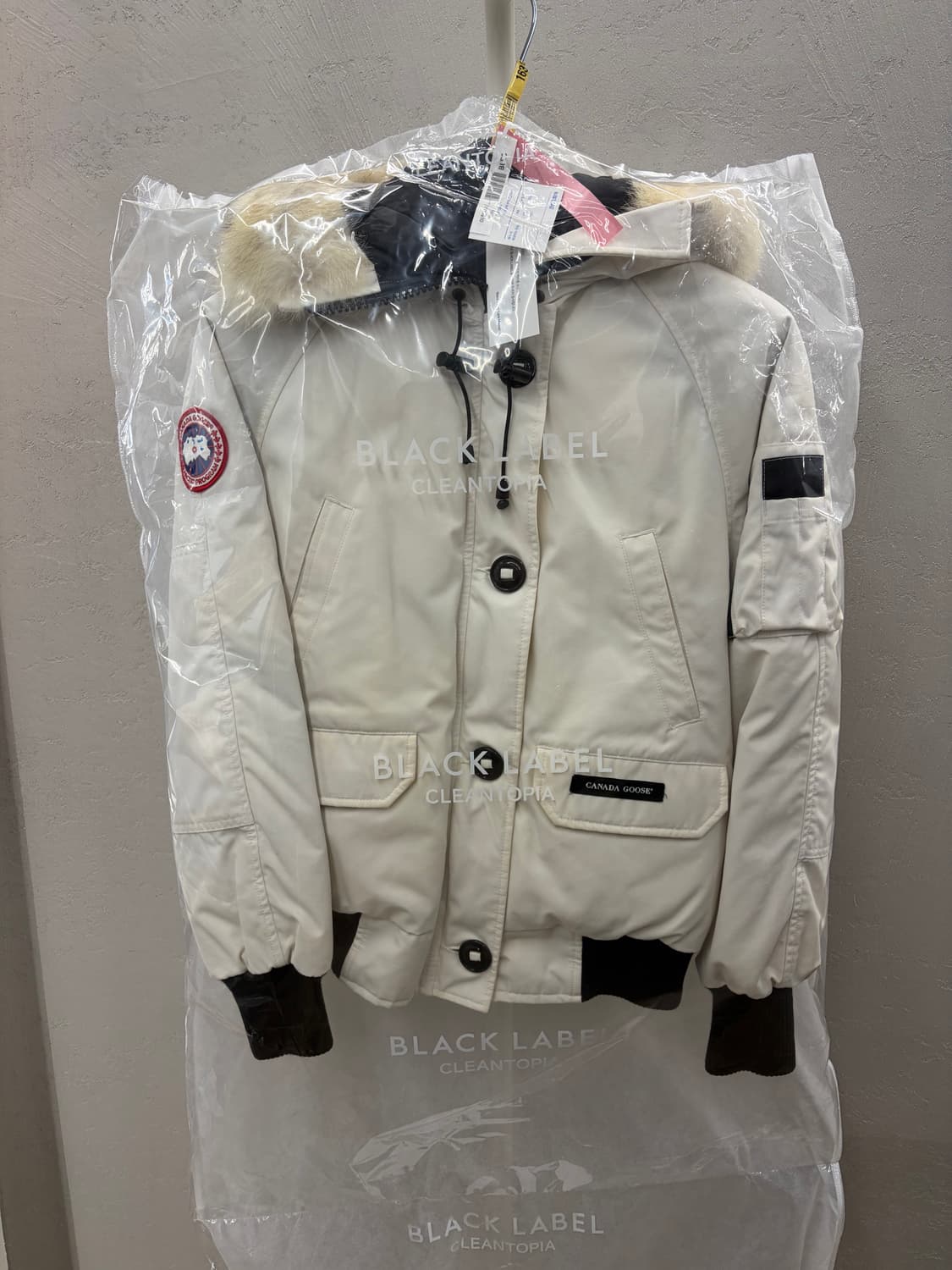 Canada Goose Chilliwack Bomber M 상품이미지2