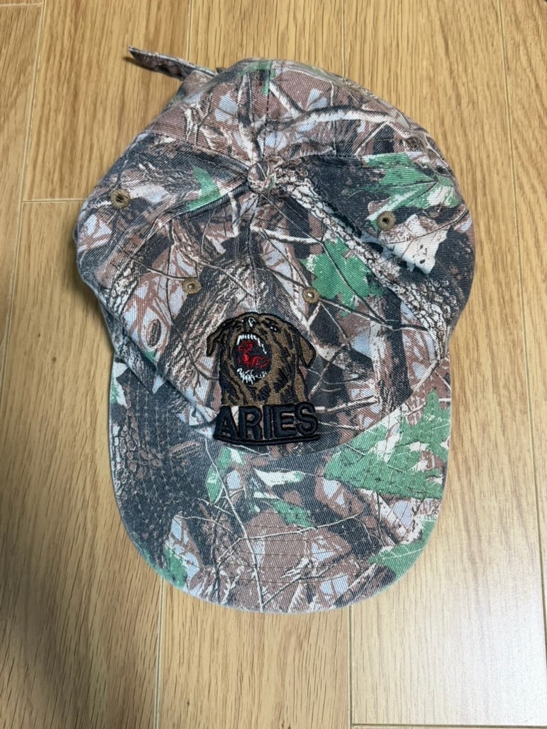 Aries 캡 모자  상품이미지1