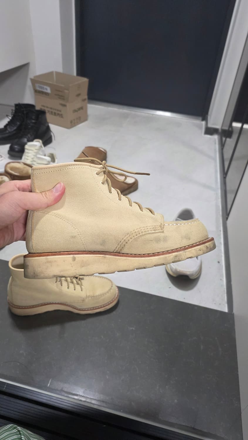 레드윙 여성 3328 7.5b사이즈(245) 판매합니다 상품이미지4