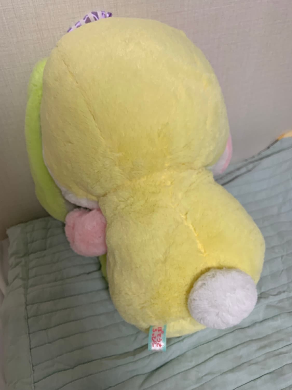 포테우사 롯삐 상품이미지2