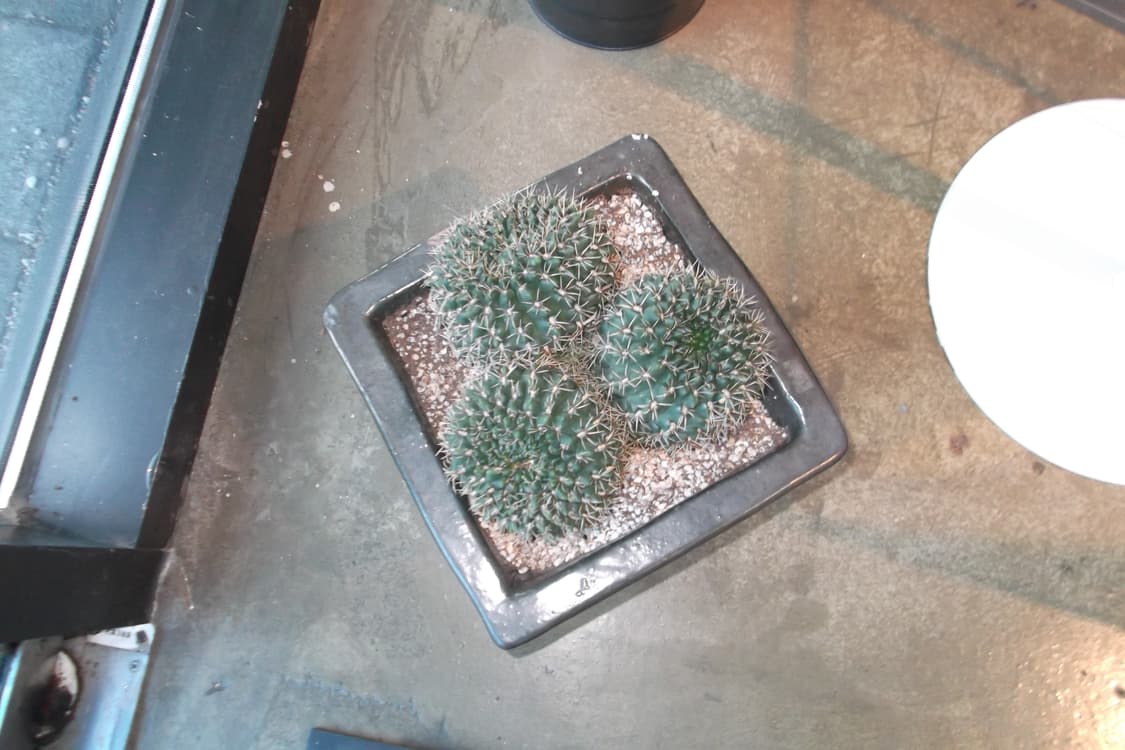 한글지원/풀박/민트급)후지필름 파인픽스 JX400 빈티지디카 상품이미지10