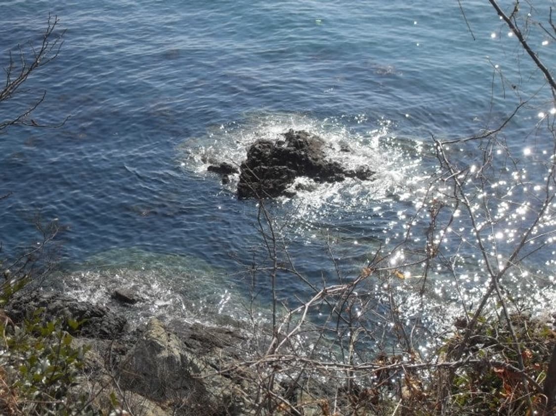 삼성 vluu L210 디카 (빈티지 카메라) 상품이미지8