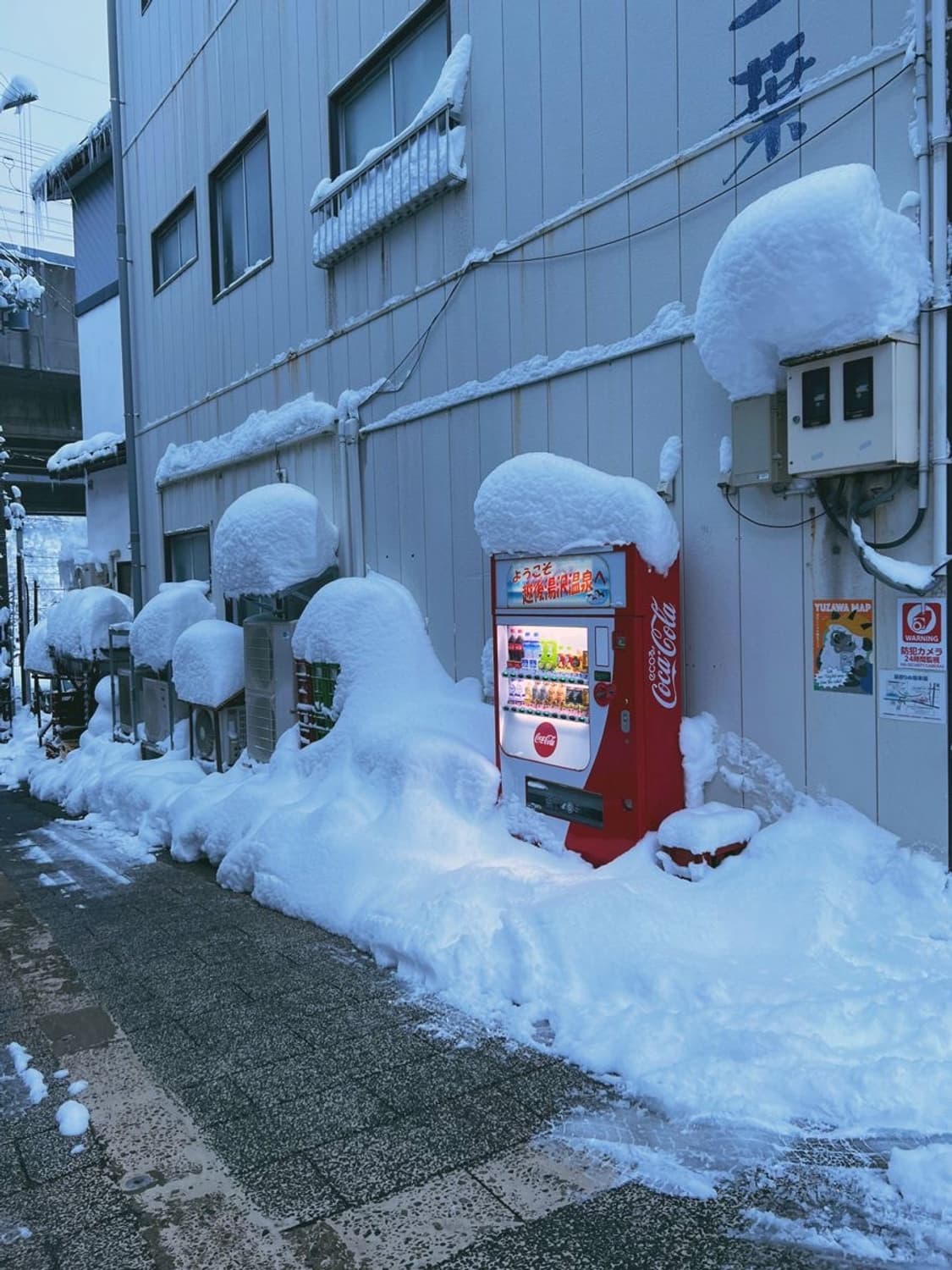 * 12/8(월)~12(금) 동안 배송이 어렵습니다 상품이미지1