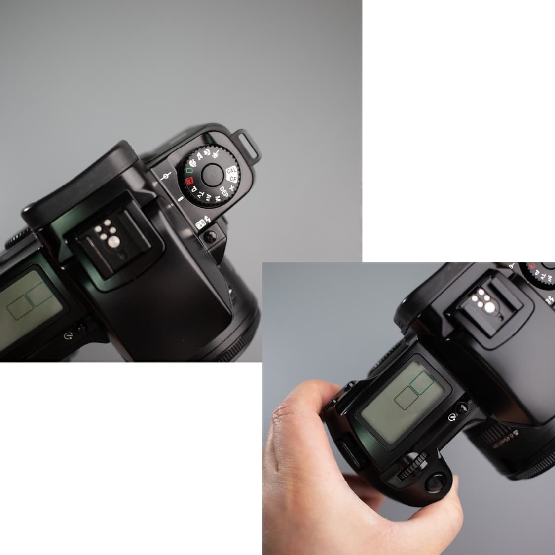 캐논 eos5 + 50mm1.8 (작례0) 상품이미지6